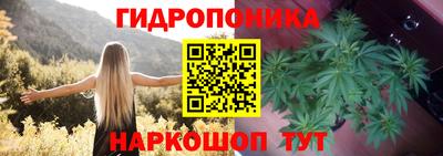 дмт Старая Купавна