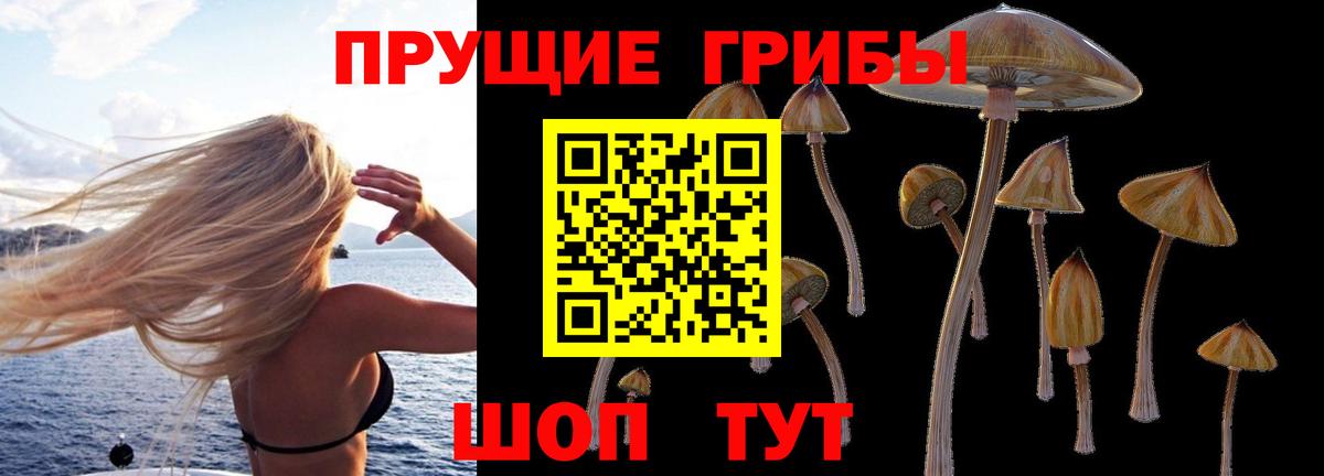 Галлюциногенные грибы MAGIC MUSHROOMS  Псилоцибиновые грибы мицелий  Югорск  Вход с VPN 